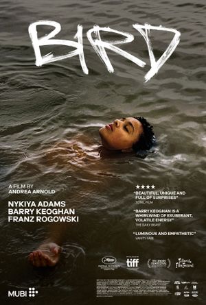 Poster al filmului "Bird"
